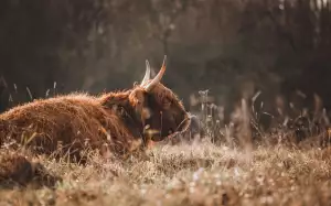 Jak Vyplnit Daňové Přiznání Osvč